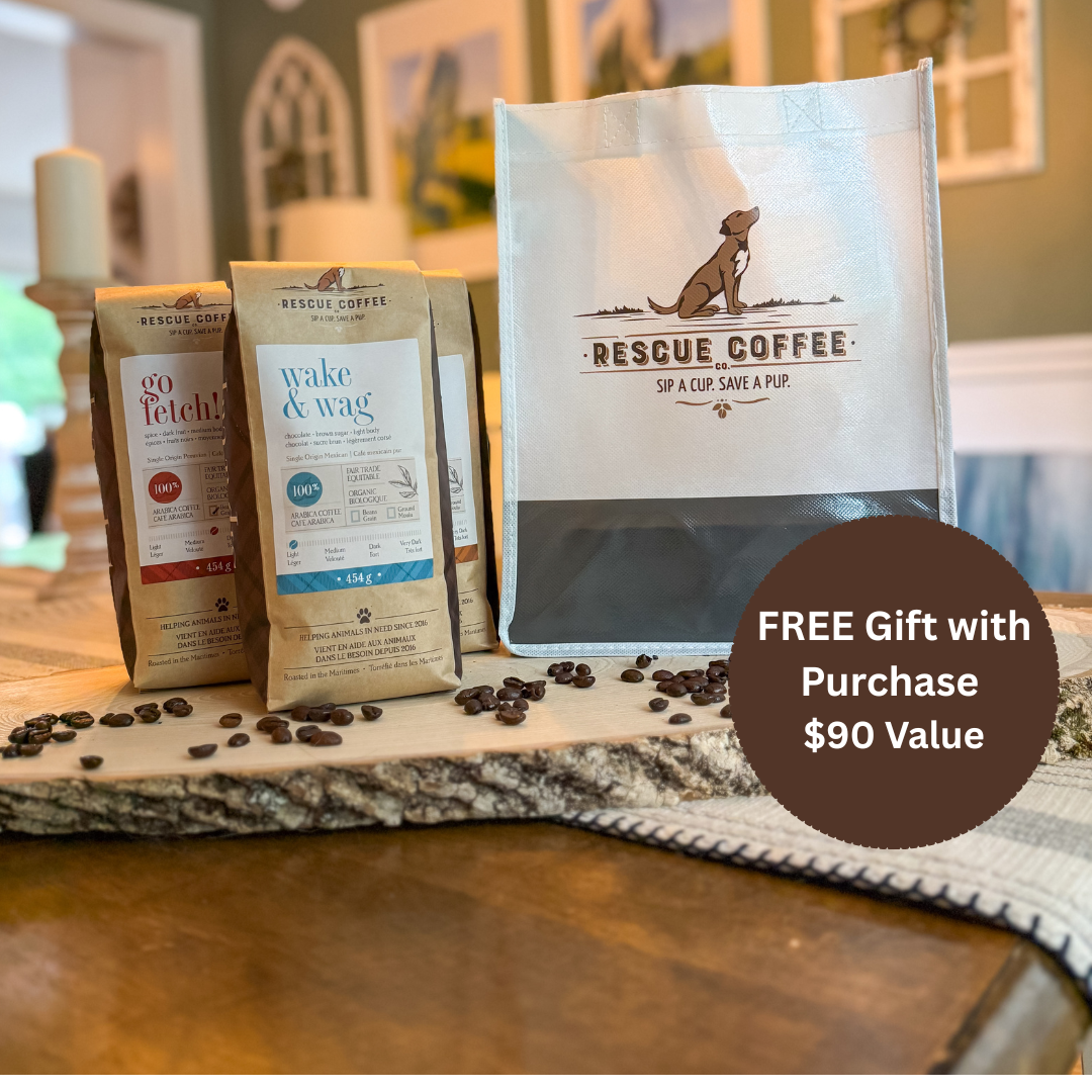 Trio Bundle + FREE Tote Bag