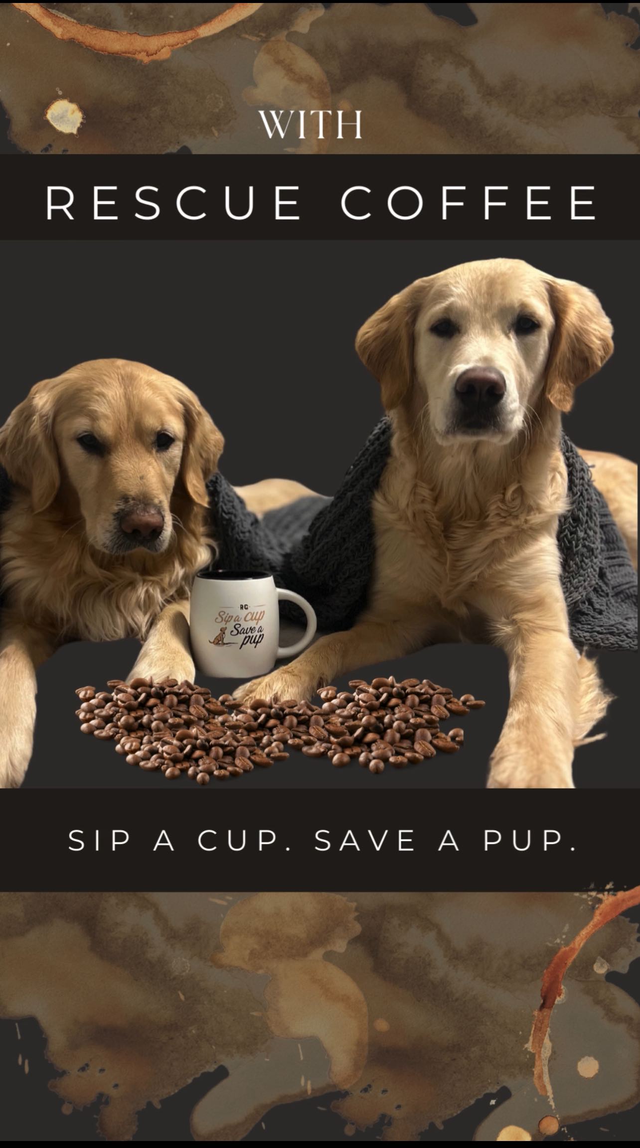 @huxleyandbarns (Stephanie B.)