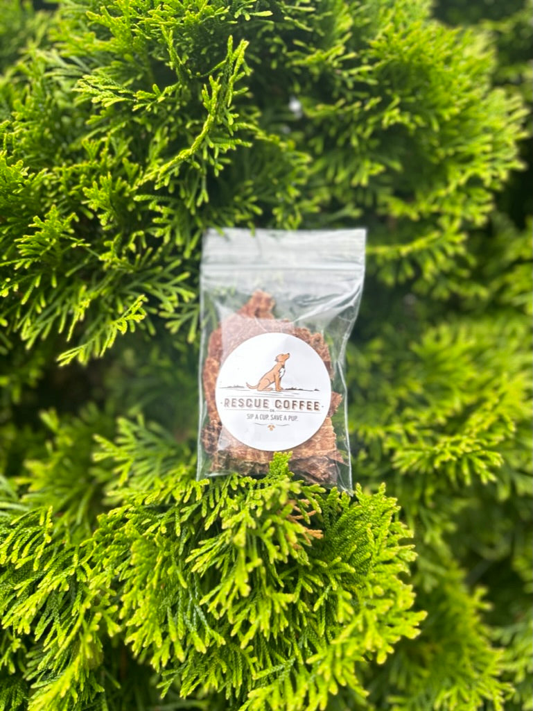 Treat For Your Fur-Baby