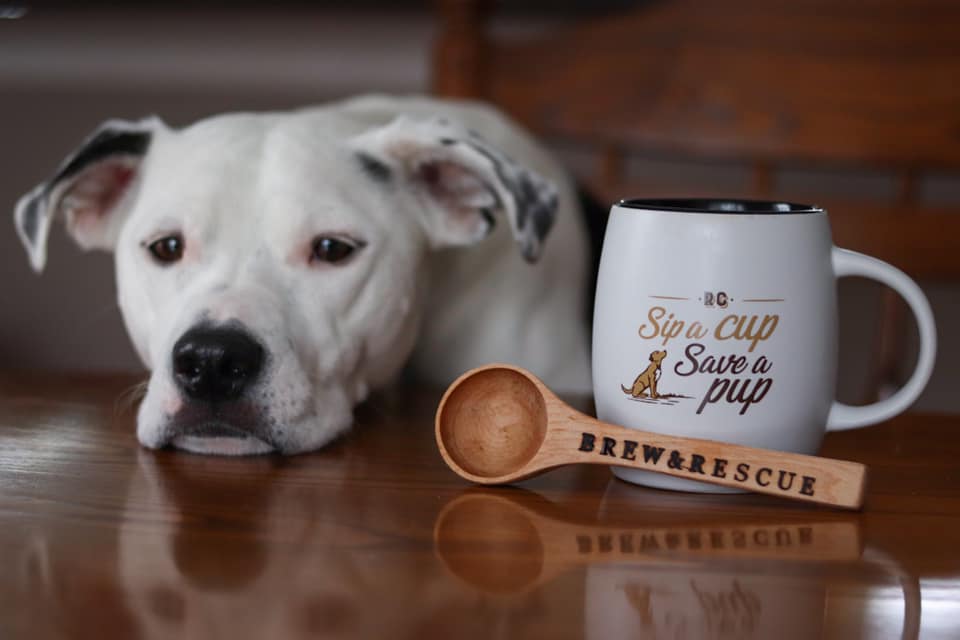 MacArthur’s Nurseries Inc.