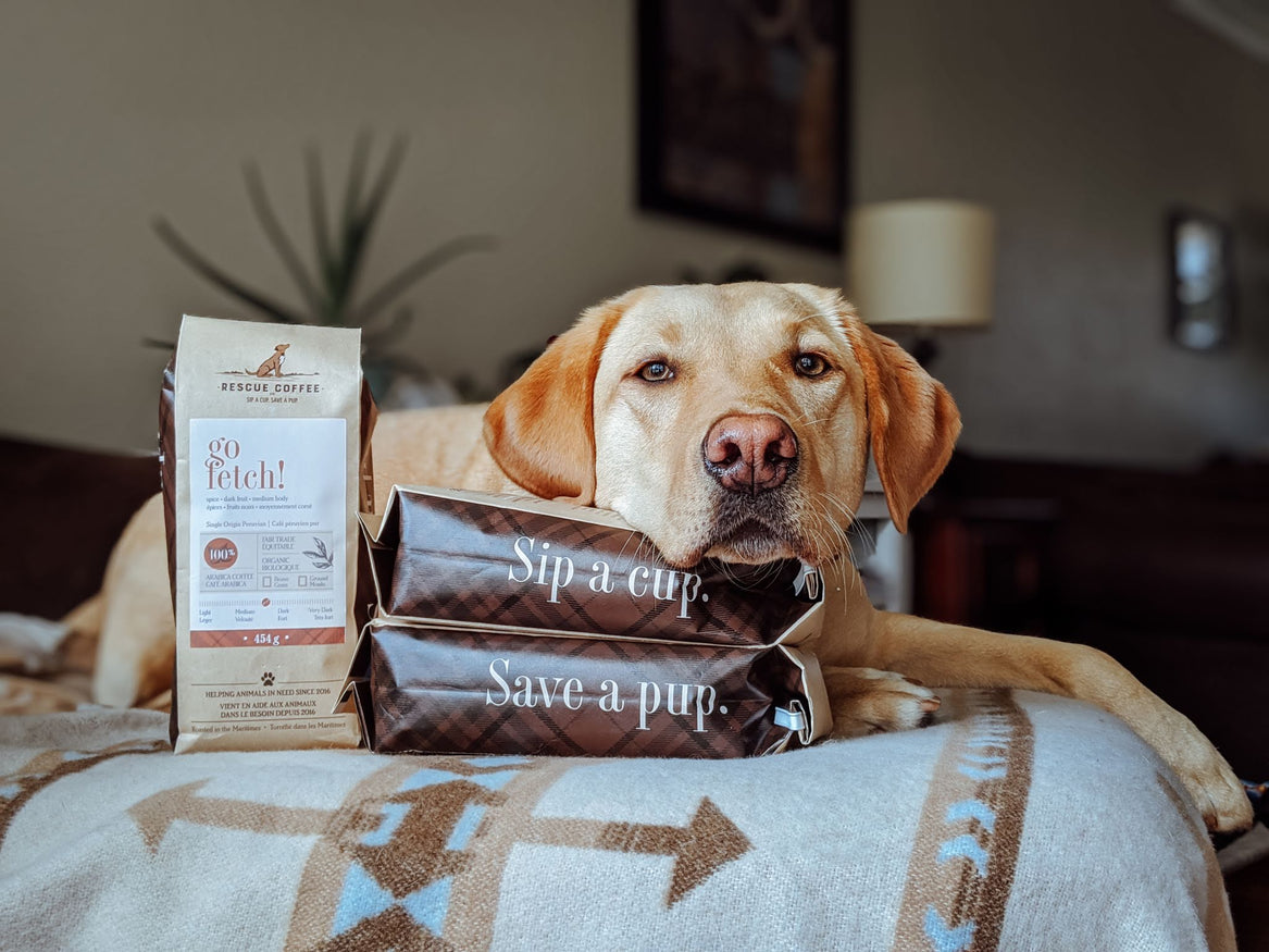 Bark & Bite | Very Dark Roast | 1lb Bag | Organic Coffee