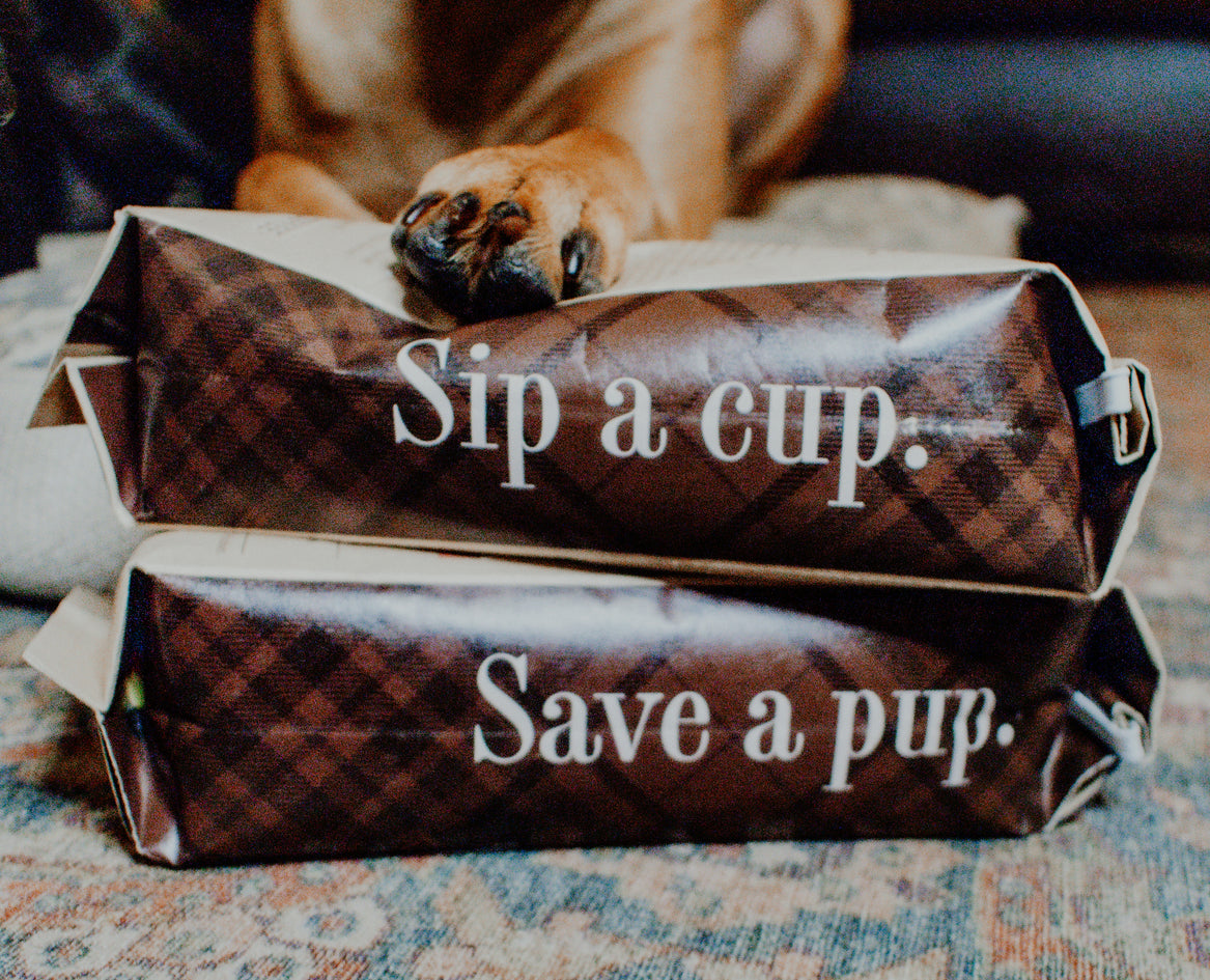 Downward Dog Decaf | Medium Roast | 1lb Bag | Organic Coffee