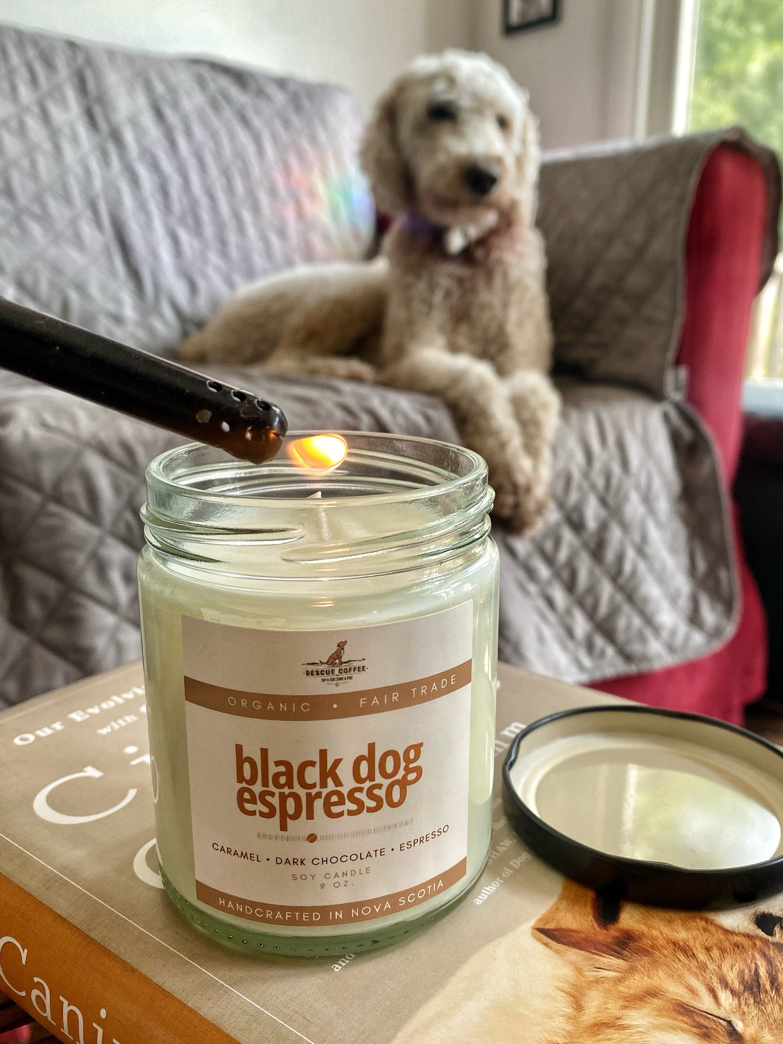 Rescue Coffee Candles | Soy Wax | 9oz | Clean Burning