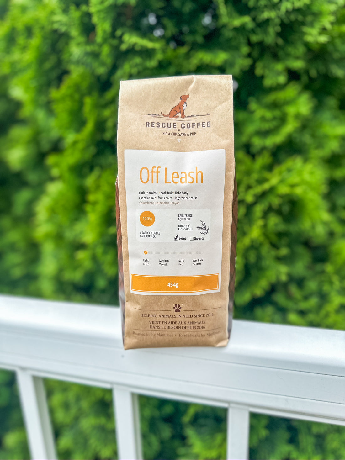 Off Leash | Medium Roast | 1 lb Bag | Organic Coffee