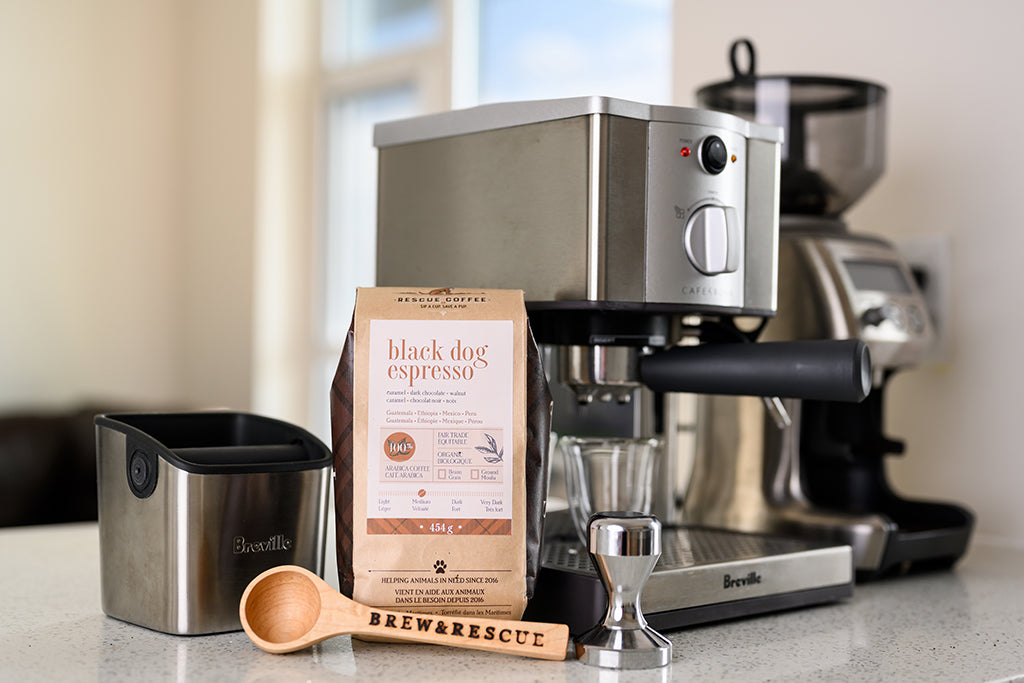 Black Dog Espresso | Medium Roast | 5lb Bag | Organic Coffee