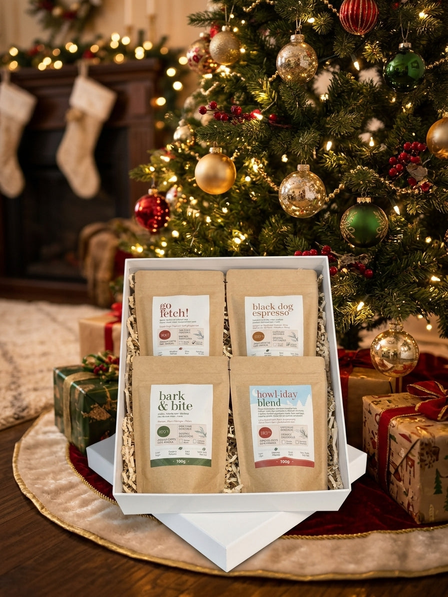 Coffee Discovery Collection | 4-Pack Coffee Sampler (100g)