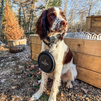 Dog Bowl - Collapsable: Rescue Coffee Signature