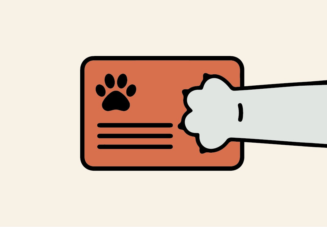Cartoon graphic of an orange card with a paw print on it with a dog paw reaching on top of the orange card.